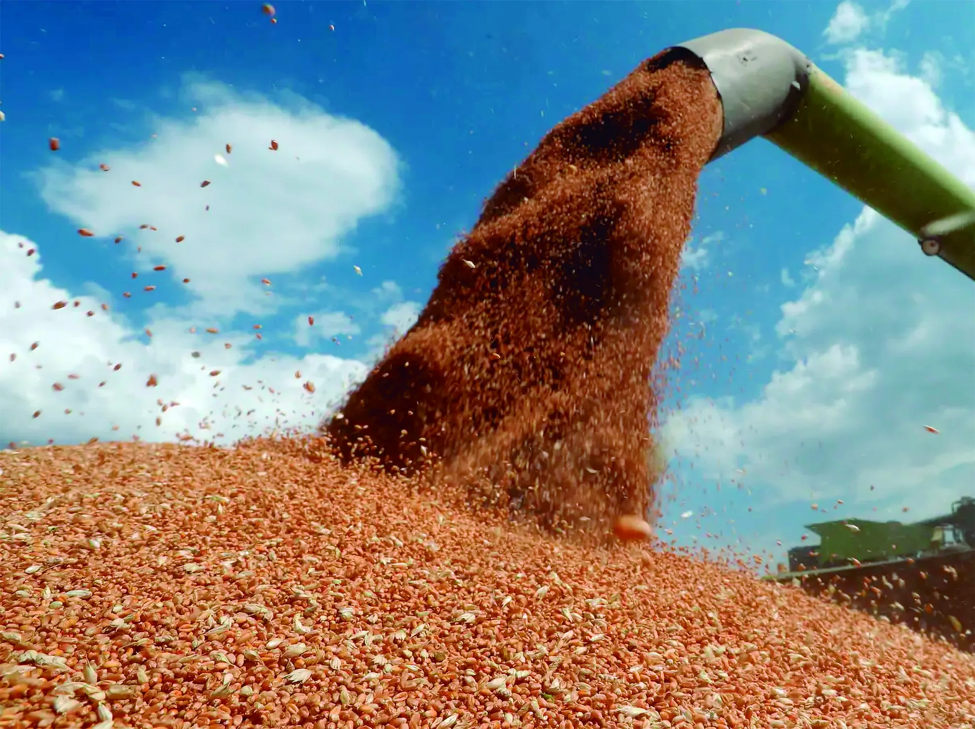 BALANÇO DE SAFRA 2025