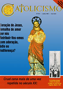 Catolicismo nº 510 — junho de 1993