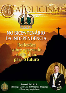 Catolicismo nº 860 — agosto de 2022